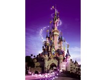  DisneylandÂ® Paris f&ecirc;te ses 20 ans!