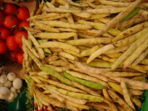 Les cocos à La Varenne Saint Hilaire