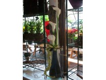 A d&eacute;couvrir