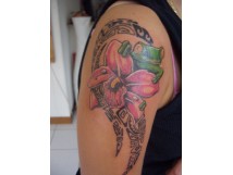 R&eacute;alisation D&eacute;rapage Corporel Chris