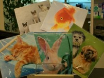 Essuie verre micro fibre