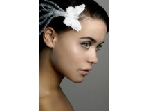 Non Communiqu&eacute;