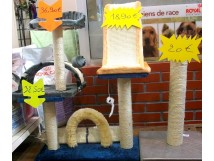 Arbres &agrave; chats