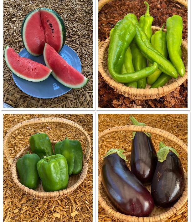 Des légumes locaux et de saison à  Cuq !