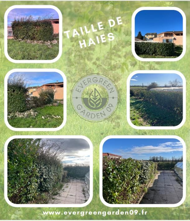 Taille de haies : structure, beauté et efficacité au jardin