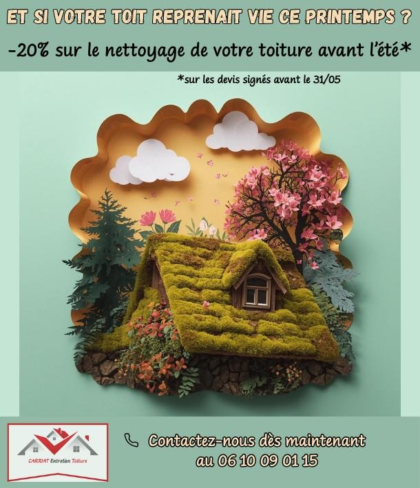 Offre de Printemps - 20% sur le nettoyage de votre toiture avant l été !