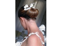Coiffure de Mari&eacute;e