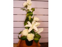 Composition Florale Lin&eacute;aire