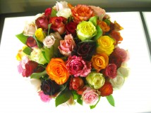 Bouquet de rose 