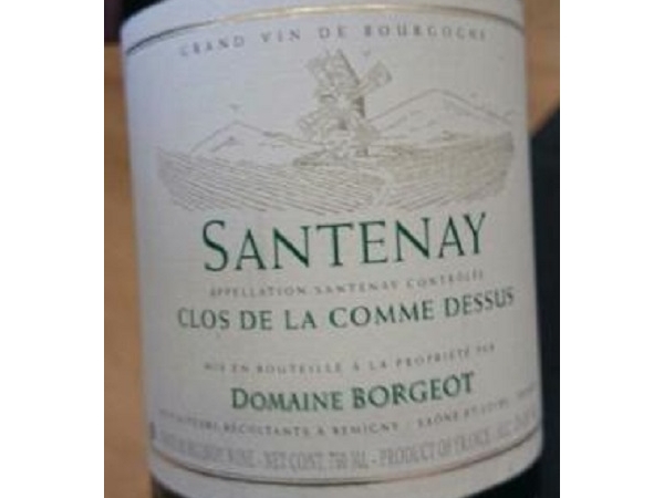 santenay-blanc-domaine-borgeot-23919