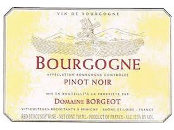 pinot-noir-domaine-borgeot-23929