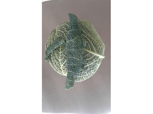 Chou vert