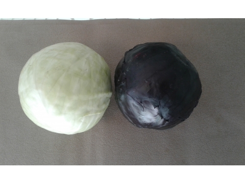 Chou lise blanc ou rouge