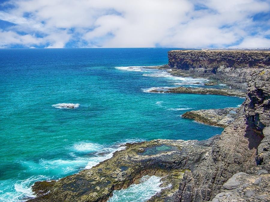 CANARIES DERNIERE MINUTE 