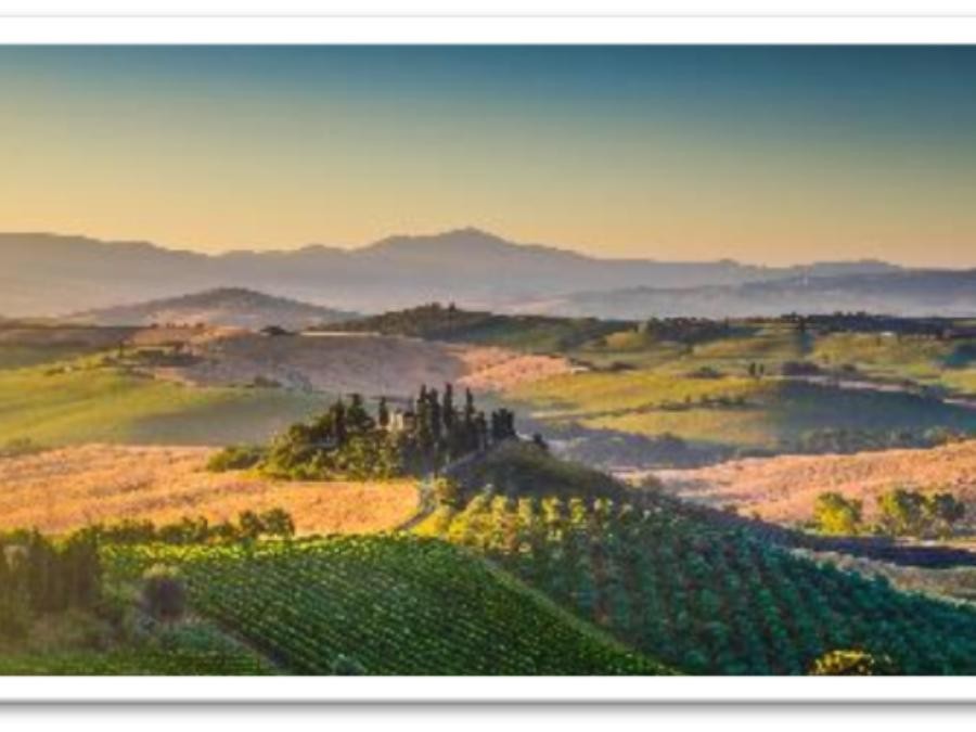 Escapade autour du vin en Toscane