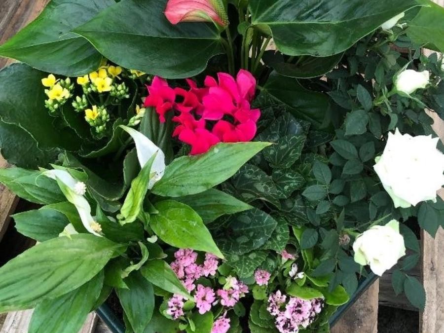 Composition florale 