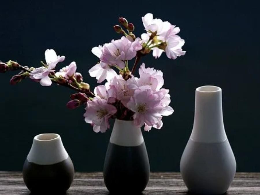 Lot de vases Céramique