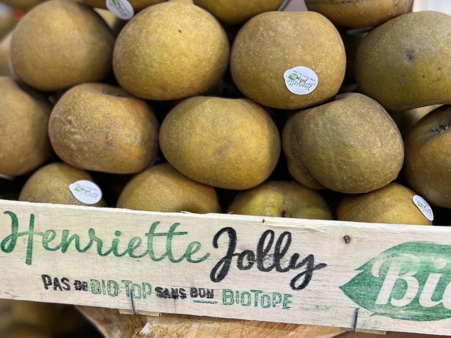 Pomme patte de loup