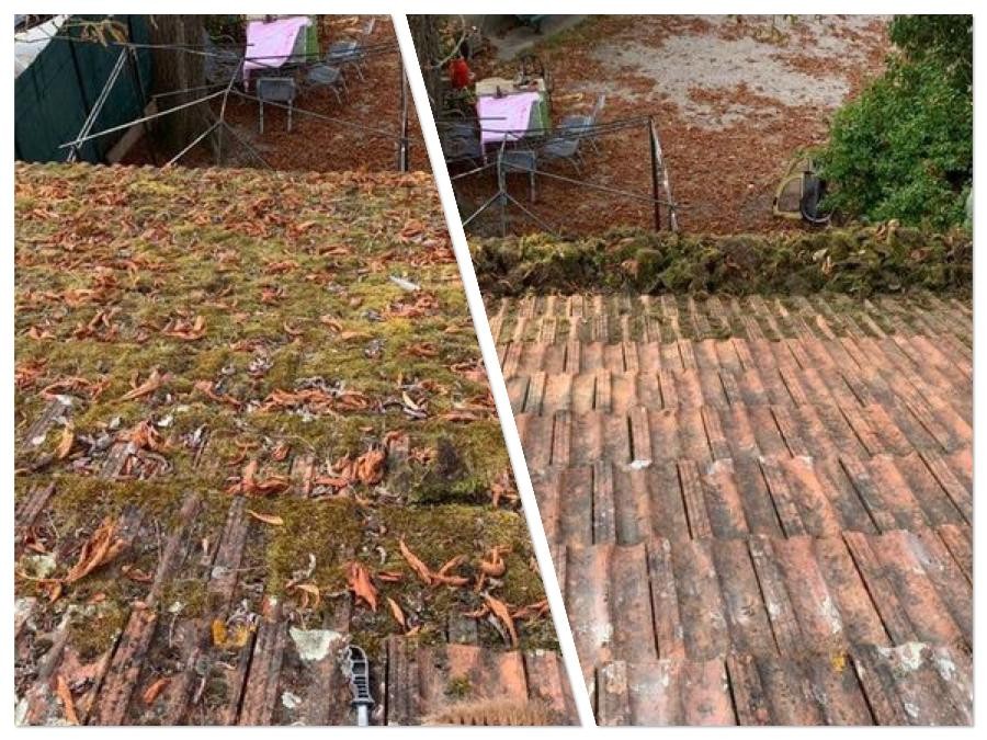 Nettoyage Démoussage Toit