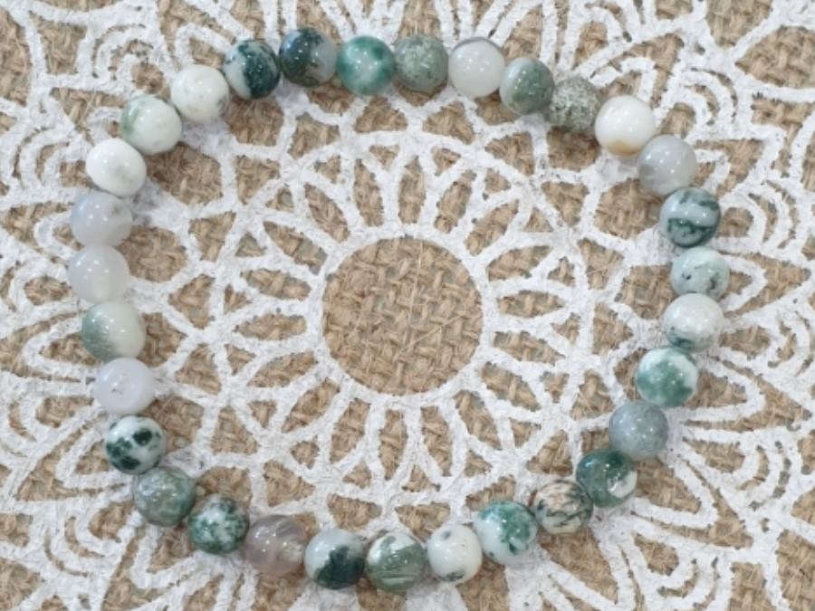 AGATE ARBRE