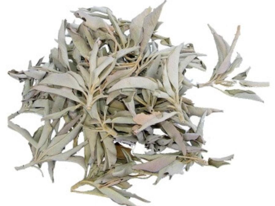 Encens Feuilles sauge blanche