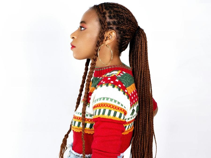 Butterfly Braids