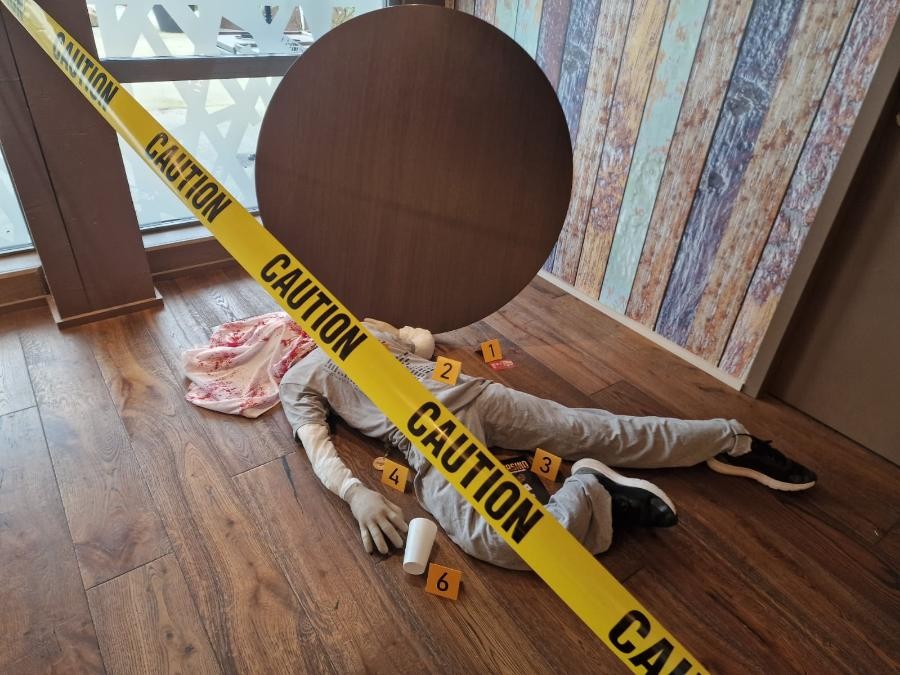 MURDER PARTY